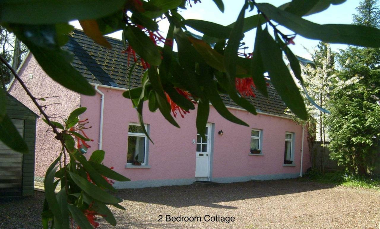 Hallmount Cottage - Belfast Exterior foto